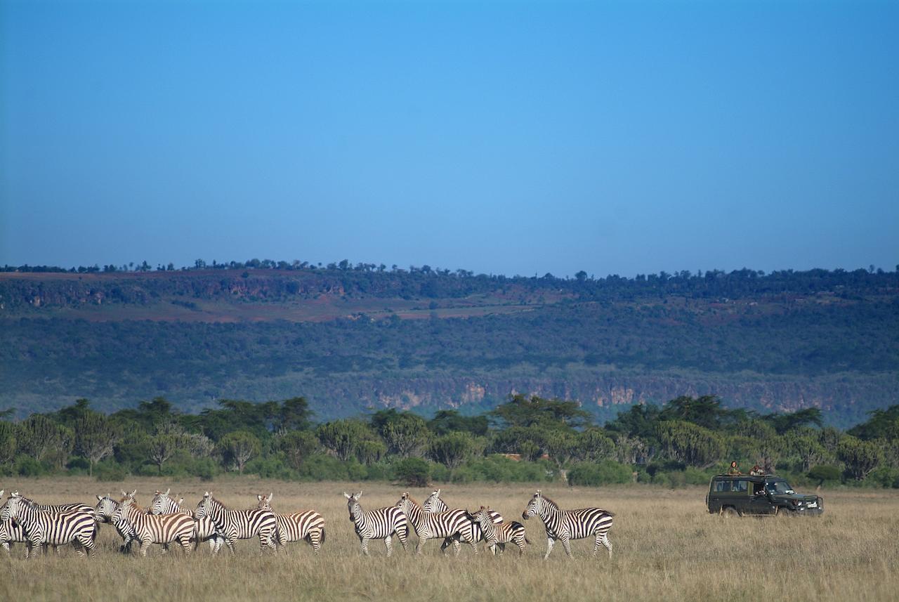 Mbweha Camp Lake Nakuru Elmenteita Exterior photo